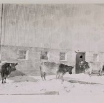 Omc1985.008.156 Image 600dpi